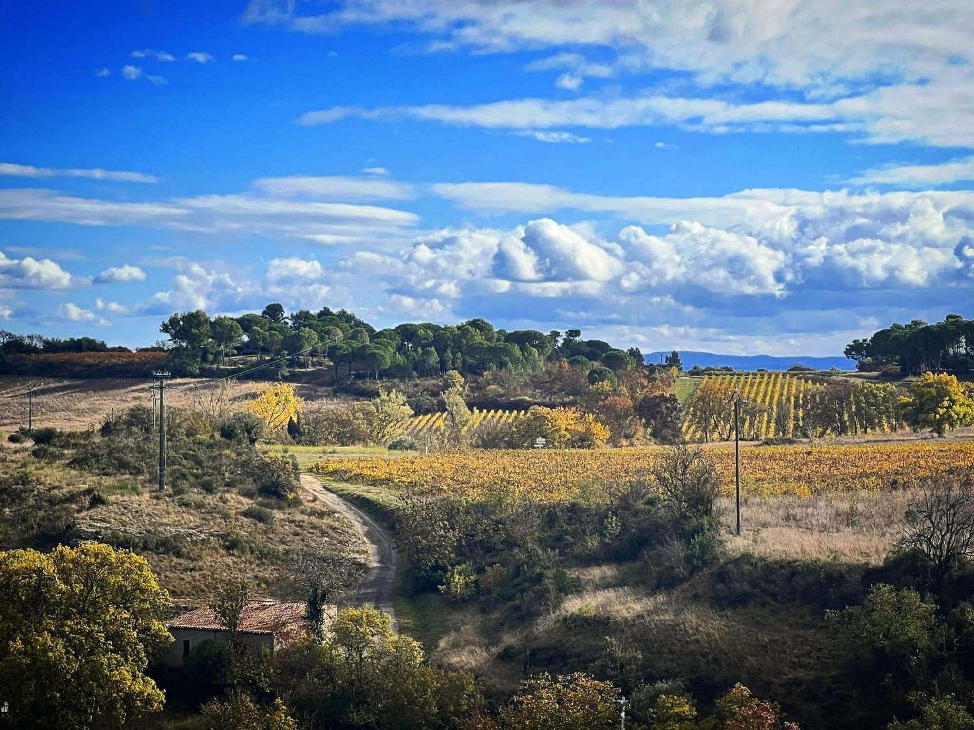 Logis Hotel Restaurant La Bergerie Aragon Bagian luar foto