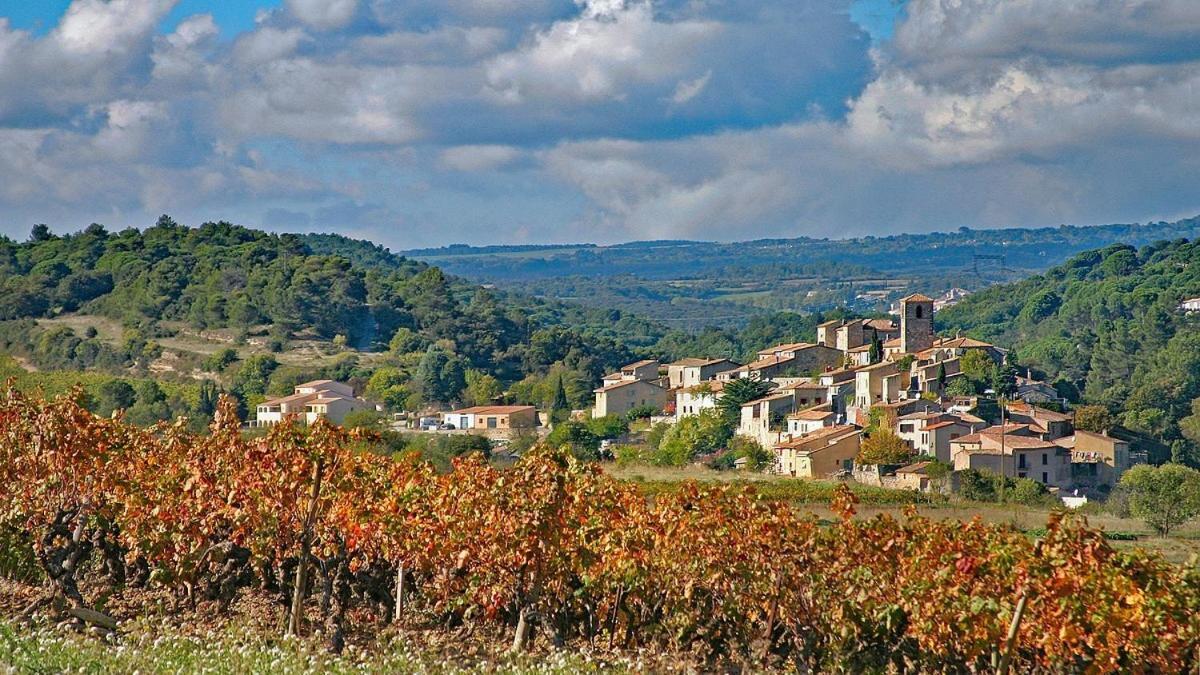 Logis Hotel Restaurant La Bergerie Aragon Bagian luar foto