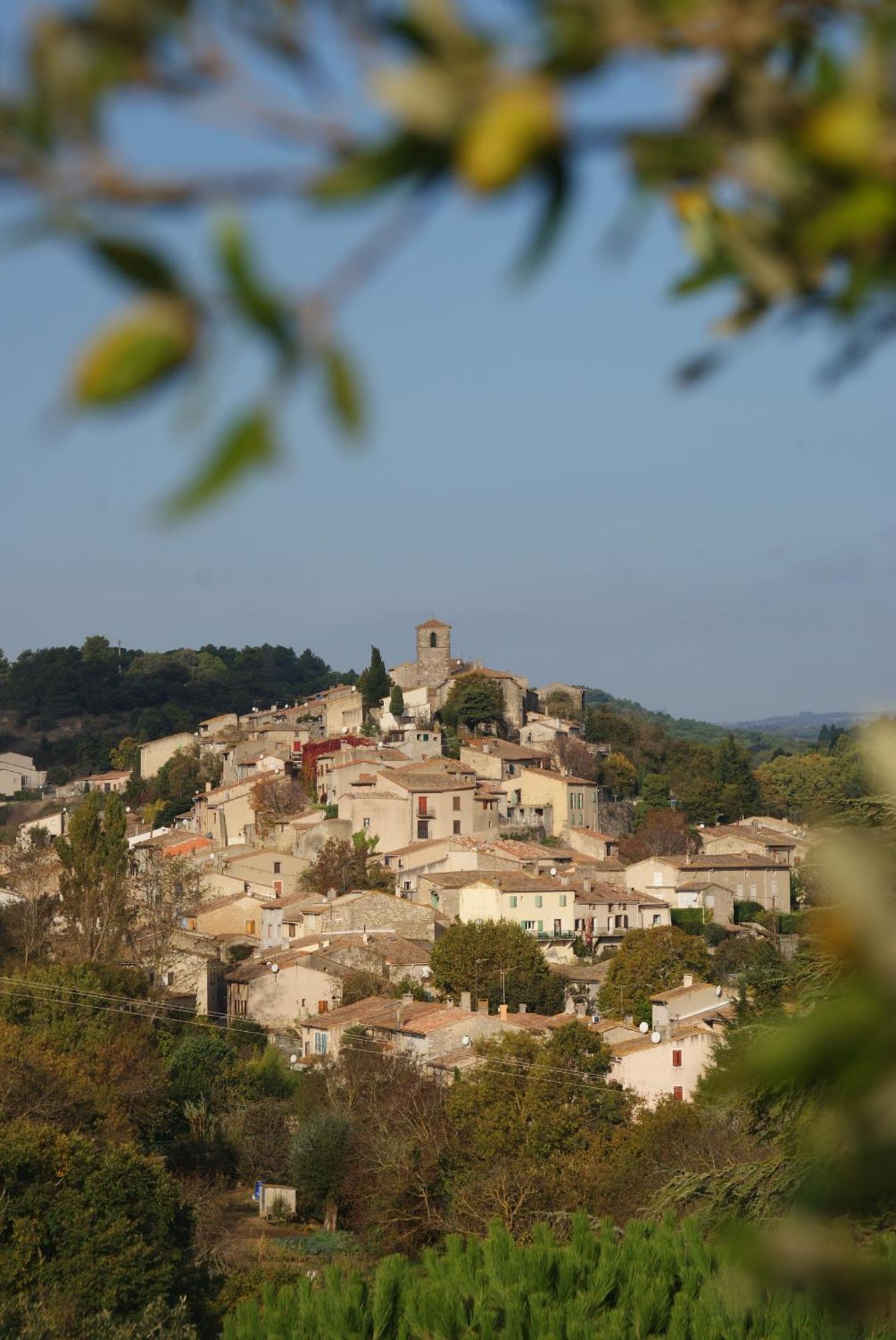 Logis Hotel Restaurant La Bergerie Aragon Bagian luar foto